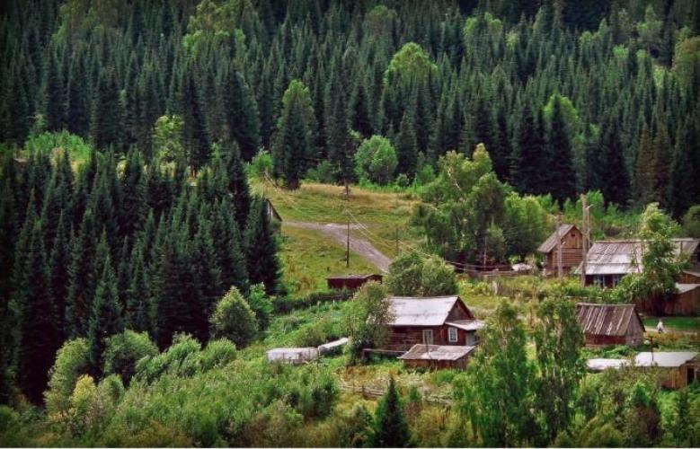 Посёлок мутантов в сибирской тайге