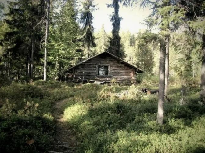 Кто в домике живёт?